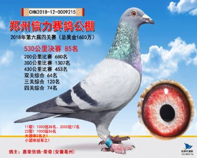 郑州信力决赛85名