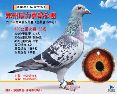 郑州信力决赛88名