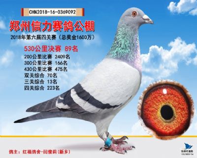 郑州信力决赛89名