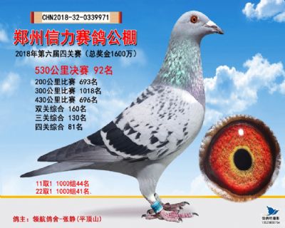 郑州信力决赛92名