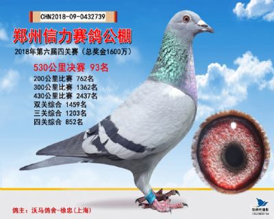 郑州信力决赛93名