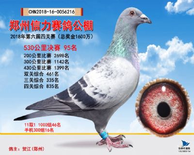 郑州信力决赛95名