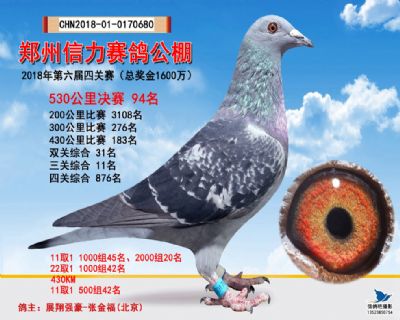 郑州信力决赛94名