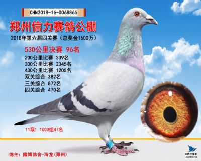 郑州信力决赛96名