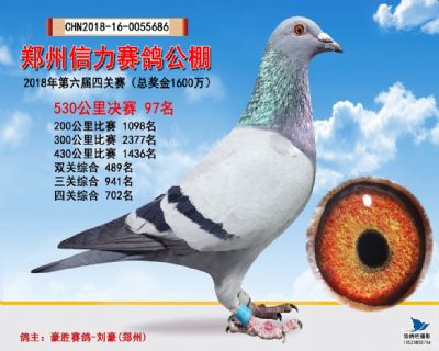 郑州信力决赛97名