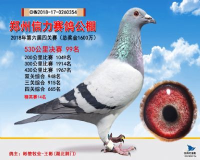 郑州信力决赛99名