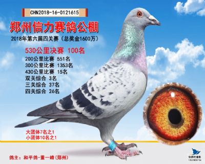 郑州信力决赛100名