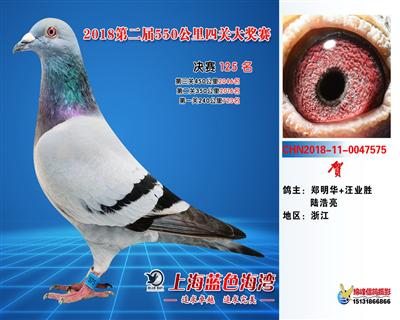 上海蓝色海湾国际赛鸽俱乐部-中国信鸽信息网各地公棚