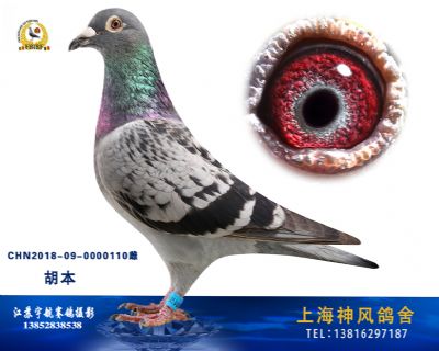 胡本里瓦尔多近亲