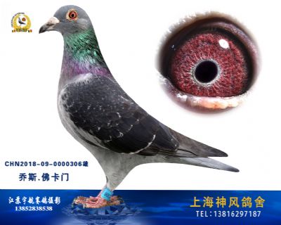 佛卡门