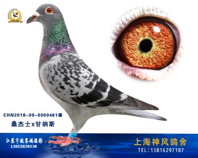 甘纳斯总统号