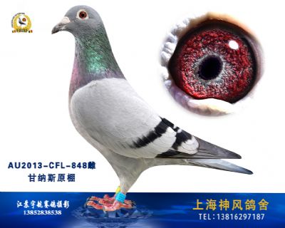 甘纳斯原舍