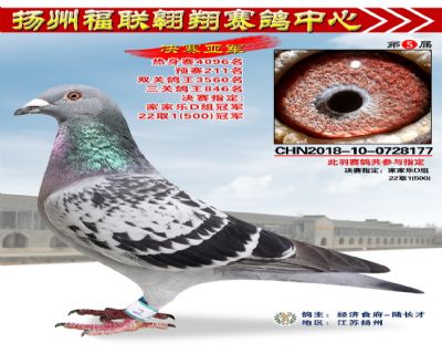 福联翱翔决赛亚军