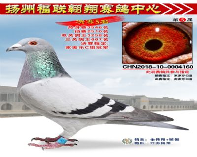 福联翱翔决赛5名