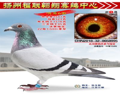 福联翱翔决赛6名