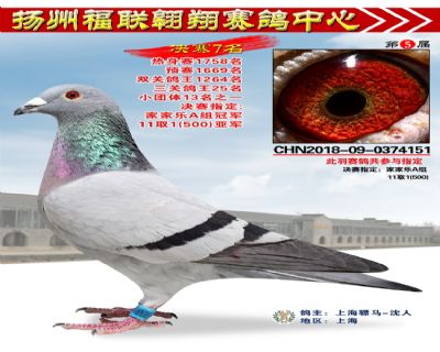 福联翱翔决赛7名