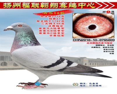 福联翱翔决赛14名
