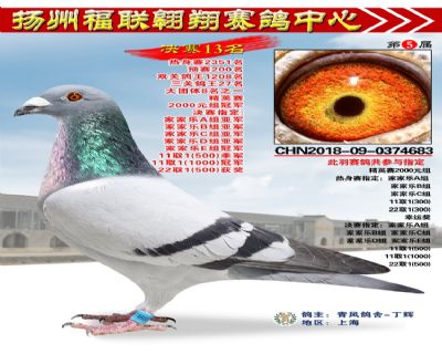 福联翱翔决赛13名