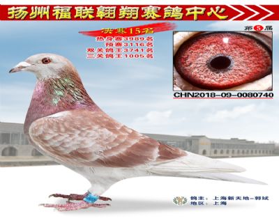 福联翱翔决赛15名
