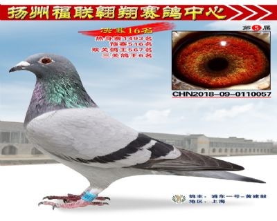 福联翱翔决赛16名