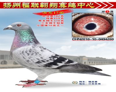 福联翱翔决赛17名