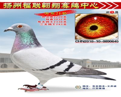 福联翱翔决赛21名