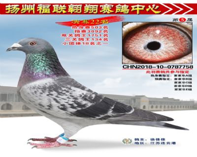 福联翱翔决赛22名