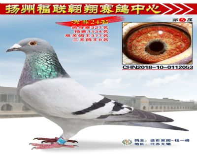 福联翱翔决赛24名