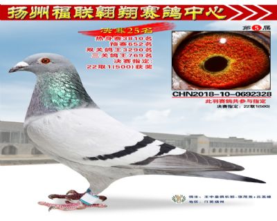 福联翱翔决赛25名
