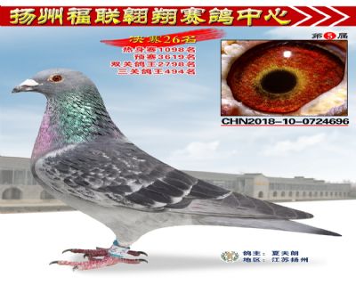 福联翱翔决赛26名