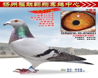 福联翱翔决赛27名