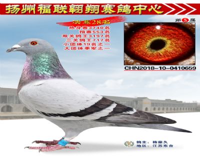 福联翱翔决赛28名