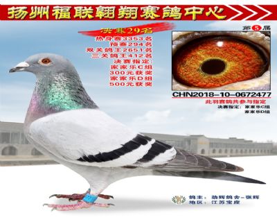 福联翱翔决赛29名