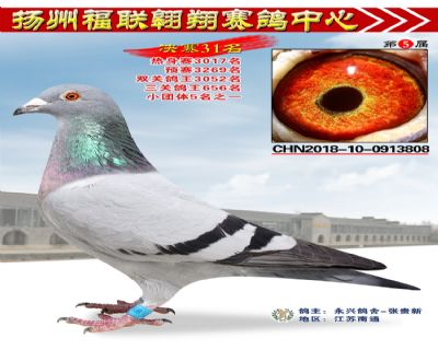 福联翱翔决赛31名