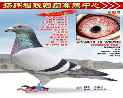 福联翱翔决赛33名