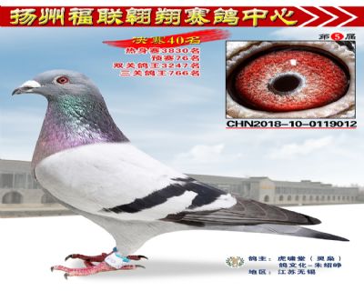 福联翱翔决赛40名