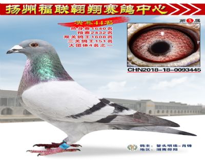 福联翱翔决赛44名