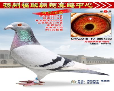 福联翱翔决赛46名