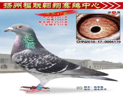 福联翱翔决赛47名