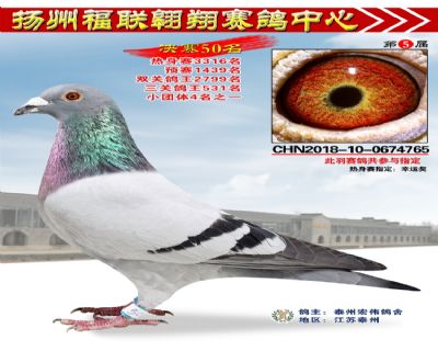 福联翱翔决赛50名
