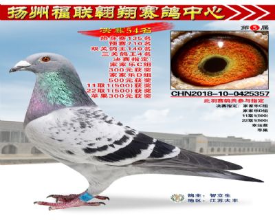 福联翱翔决赛54名