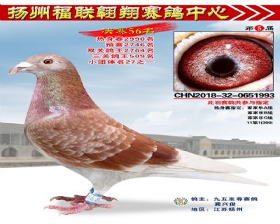 福联翱翔决赛56名
