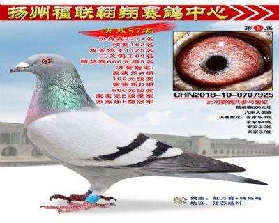 福联翱翔决赛57名