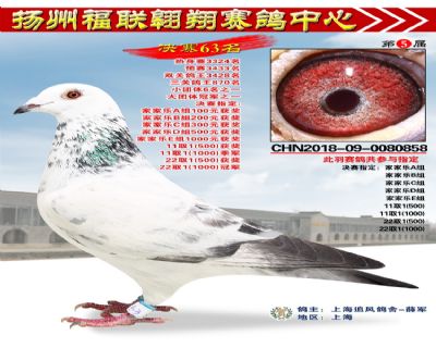福联翱翔决赛63名