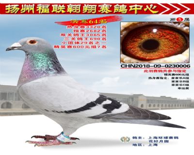 福联翱翔决赛64名