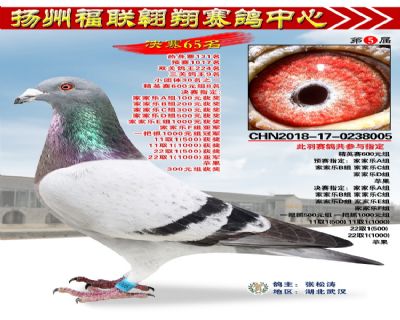 福联翱翔决赛65名