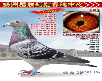 福联翱翔决赛69名