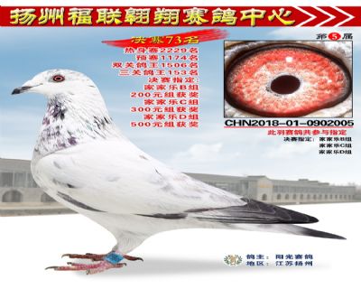 福联翱翔决赛73名