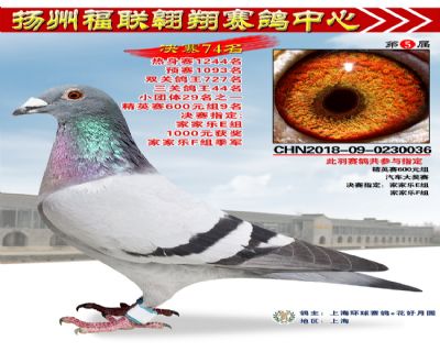 福联翱翔决赛74名