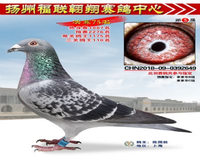 福联翱翔决赛75名